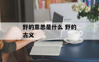 野的意思是什么 野的古义