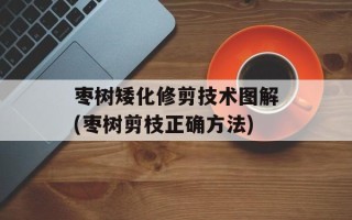 枣树矮化修剪技术图解(枣树剪枝正确方法)