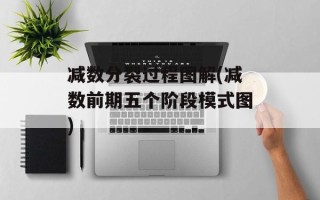 减数分裂过程图解(减数前期五个阶段模式图)