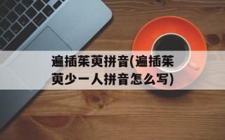 遍插茱萸拼音(遍插茱萸少一人拼音怎么写)