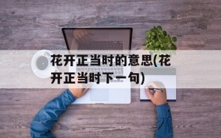 花开正当时的意思(花开正当时下一句)