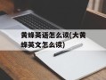 黄蜂英语怎么读(大黄蜂英文怎么读)