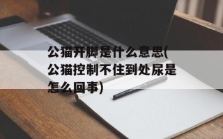 公猫开脚是什么意思(公猫控制不住到处尿是怎么回事)
