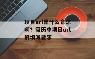 项目url是什么意思啊？简历中项目url的填写要求