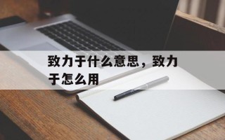 致力于什么意思，致力于怎么用