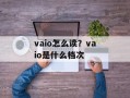 vaio怎么读？vaio是什么档次