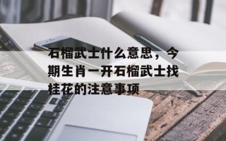 石榴武士什么意思，今期生肖一开石榴武士找桂花的注意事项