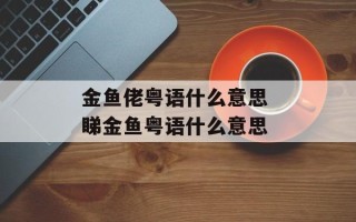 金鱼佬粤语什么意思 睇金鱼粤语什么意思