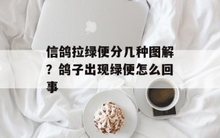信鸽拉绿便分几种图解？鸽子出现绿便怎么回事