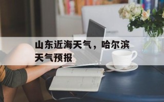 山东近海天气，哈尔滨天气预报