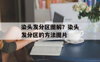 染头发分区图解？染头发分区的方法图片