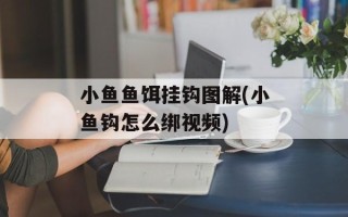 小鱼鱼饵挂钩图解(小鱼钩怎么绑视频)