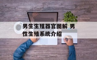 男生生殖器官图解 男性生殖系统介绍