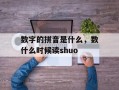 数字的拼音是什么，数什么时候读shuo