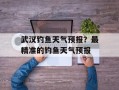 武汉钓鱼天气预报？最精准的钓鱼天气预报
