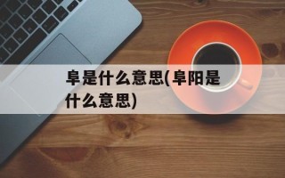 阜是什么意思(阜阳是什么意思)