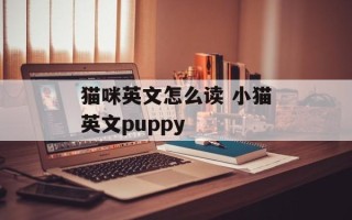 猫咪英文怎么读 小猫英文puppy