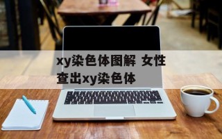 xy染色体图解 女性查出xy染色体