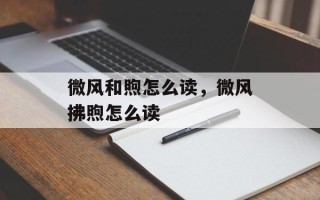 微风和煦怎么读，微风拂煦怎么读