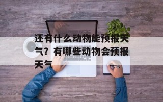 还有什么动物能预报天气？有哪些动物会预报天气