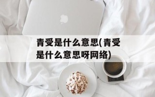 青受是什么意思(青受是什么意思呀网络)