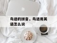 鸟语的拼音，鸟语用英语怎么说
