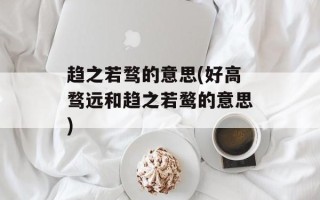 趋之若骛的意思(好高骛远和趋之若鹜的意思)