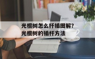 光棍树怎么扦插图解？光棍树的插杆方法