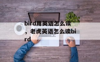 bird用英语怎么读，老虎英语怎么读bird