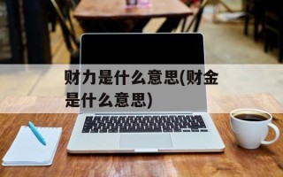 财力是什么意思(财金是什么意思)