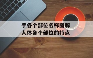 手各个部位名称图解 人体各个部位的特点