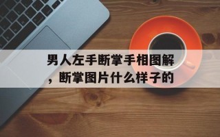 男人左手断掌手相图解，断掌图片什么样子的