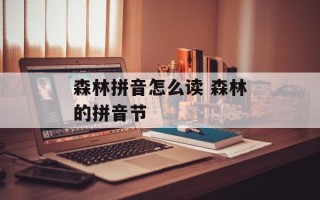 森林拼音怎么读 森林的拼音节