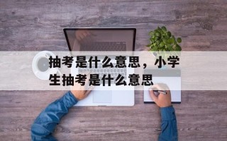 抽考是什么意思，小学生抽考是什么意思