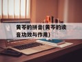 黄苓的拼音(黄芩的读音功效与作用)