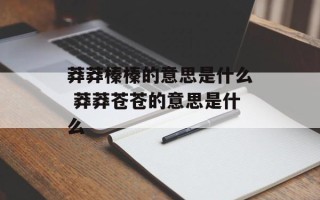 莽莽榛榛的意思是什么 莽莽苍苍的意思是什么