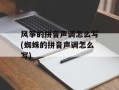 风筝的拼音声调怎么写(蜘蛛的拼音声调怎么写)
