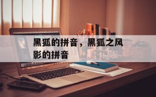 黑狐的拼音，黑狐之风影的拼音