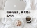 铁皮的拼音，铁皮是什么中药