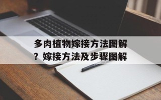 多肉植物嫁接方法图解？嫁接方法及步骤图解