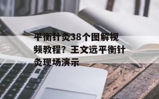 平衡针灸38个图解视频教程？王文远平衡针灸现场演示