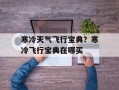 寒冷天气飞行宝典？寒冷飞行宝典在哪买