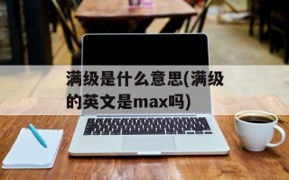 满级是什么意思(满级的英文是max吗)