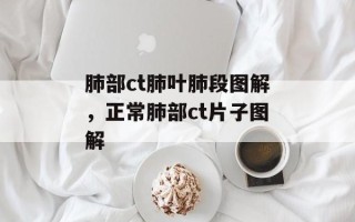 肺部ct肺叶肺段图解，正常肺部ct片子图解