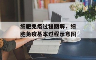 细胞免疫过程图解，细胞免疫基本过程示意图