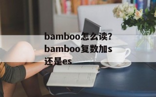 bamboo怎么读？bamboo复数加s还是es