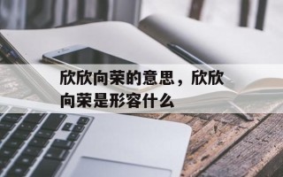 欣欣向荣的意思，欣欣向荣是形容什么