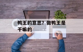 鸭王的意思？做鸭王是干嘛的