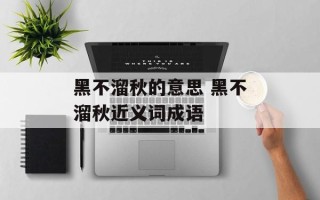 黑不溜秋的意思 黑不溜秋近义词成语