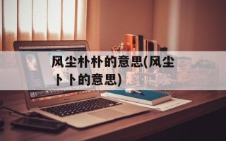 风尘朴朴的意思(风尘卜卜的意思)